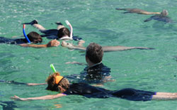 Il fascino selvatico della Eyre Peninsula