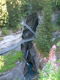 Una parte del percorso sulle passerelle