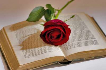 Un libro per una rosa per la festa di San Giorgio