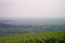 Panorama di Illasi