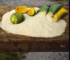 Riso e zucca fra i prodotti della Bassa Padana