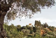 L'area archeologica di Agrigento