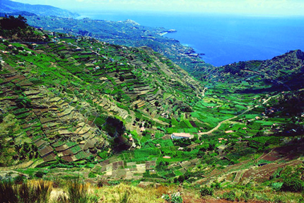 Veduta della costa di Madeira