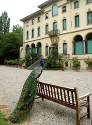 La Fondazione Magnani Rocca