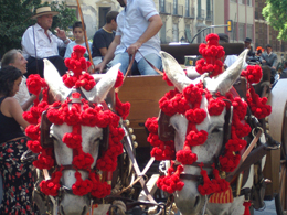 Malaga e la Costa del Sol