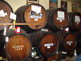 Malaga e la Costa del Sol 2 Malaga e la Costa del Sol