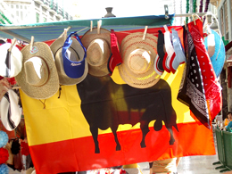 Malaga e la Costa del Sol 1 Malaga e la Costa del Sol