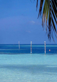 I pali della laguna veneziana... alle Maldive!