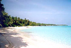 Maldive