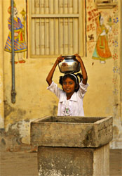 India, la magica terra dei Maharaja 1 Nella terra dei Maharaja (Foto: Vivindia)