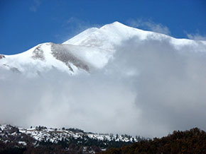 Tartufesca 'full immersion' nelle Marche australi 2 Tartufesca 'full immersion' nelle Marche australi