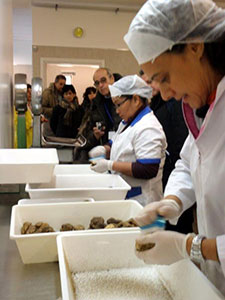 Tartufesca 'full immersion' nelle Marche australi 1 Tartufesca 'full immersion' nelle Marche australi