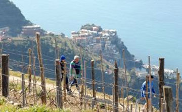 In marcia nel Parco delle Cinque Terre