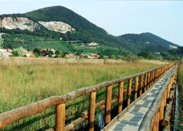 Laboratori didattici nel Parco Regionale Migliarino, San Rossore (Pisa)