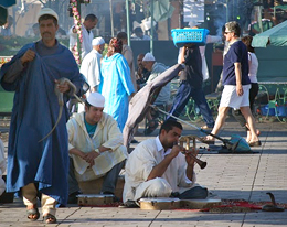 Marrakech Incantatore di serpenti in piazza Jemaa el-Fna