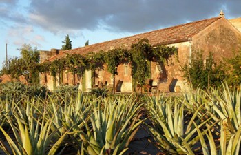 tpur A Martano (Lecce) tra le benefiche piante di Aloe