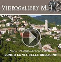 Il Prosecco e i segreti della sua produzione, nella Mediagallery