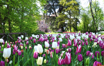 Il giardino di tulipani al castello di Pralormo