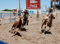 Frivola Miniguida dei 192 Paesi membri Onu: Mali-Messico 4 Charreria prende il proprio nome da charros, l'equivalente dei cow-boys negli Usa