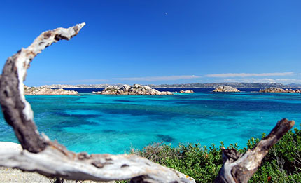 Mezza Maratona dalla Maddalena a Caprera