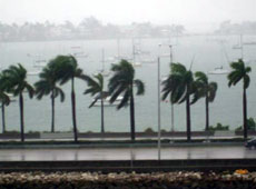 Il porto di Miami sotto l'acqua