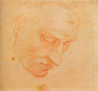 Michelangelo, Volto virile per la Volta Sistina, 1509-1510 (Firenze, Casa Buonarroti)