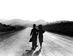 Un'altra immagine tratta dal film