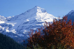 Monte Grivola. Foto: Archivio fotografico Consorzio Operatori Turistici Valle di Cogne