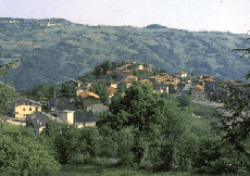 Luglio all'insegna del tartufo sull'Appennino modenese