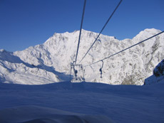 A Macugnaga, una mimosa sulla neve 4 A Macugnaga, una mimosa sulla neve