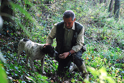 Mostra Mercato del Tartufo Marzuolo a Volterra