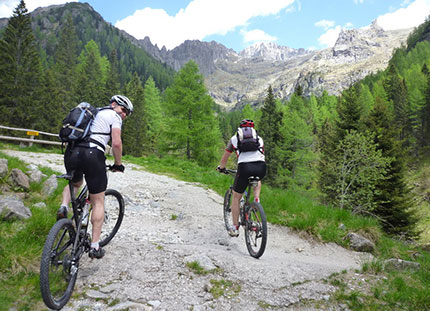 Su e giù per la montagna con l’ Alpine Pearls MTB Cup