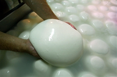 Formaggi DiVini a Riolo Terme 4 Mozzarella di bufala