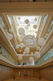 Copyright Tutti i diritti riservati a MUSE - Museo delle Scienze 