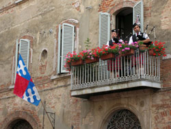 Fiordalisi e ginestre colorano Città della Pieve 1 (foto: Barbara Caricchi)