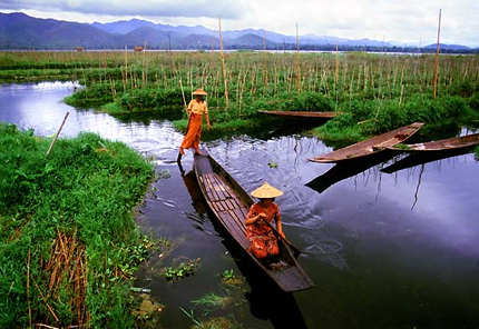 Giardini sul lago Inle 