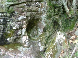 Calimera La "Grotta di Santa Caterina" a Fivizzano (Massa Carrara). Una nicchia che richiama l'organo sessuale femminile 