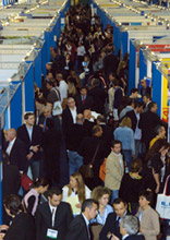 Dieci volte la fiera NoFrills 4 Dieci volte la fiera NoFrills