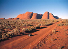 Cosa sto facendo? Cammino