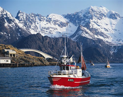 Norvegia Un peschereccio nelle acque di Nord-Norge (Credits: Pål Bugge/inn/Innovation Norway)
