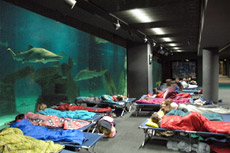 All'acquario col sacco a pelo