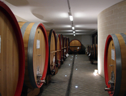 Cantina di Carlo Cambieri e Marco Arlunno