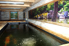 Il Kyoto Fishouse