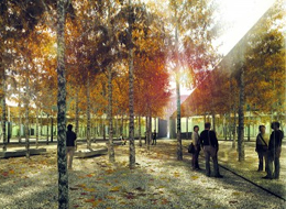 Rendering del progetto Infinite Forest (AIDS Memorial Coalition)