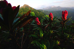 Oasi Zegna, Alpi Biellesi 2009. Foto di Mattias Klum