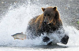 Tommaso Balestrini, Premio World Best Photography 2010