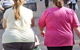 Diet Day Il problema dell'obesità