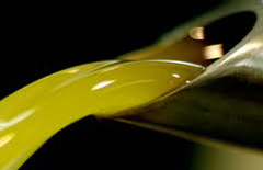 Olio italiano in mostra a Riva del Garda