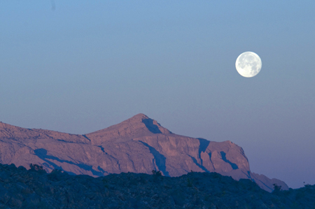 Pedalate nel deserto