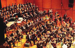 L'Orchestra Verdi